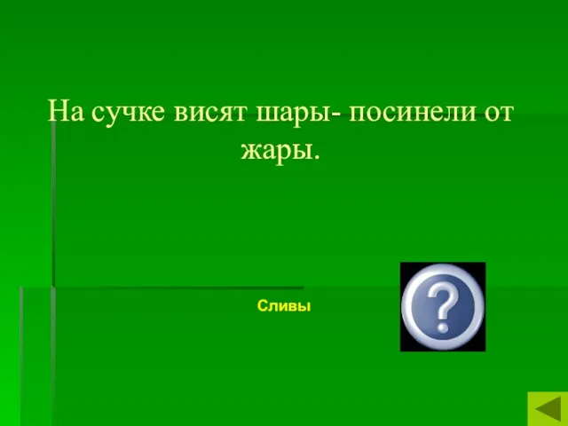 На сучке висят шары- посинели от жары. Сливы