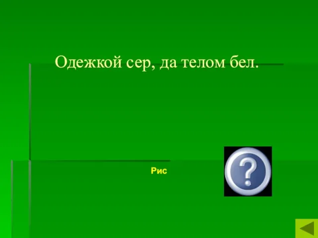 Одежкой сер, да телом бел. Рис