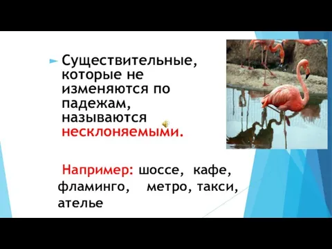 Например: шоссе, кафе, фламинго, метро, такси, ателье Существительные, которые не изменяются по падежам, называются несклоняемыми.