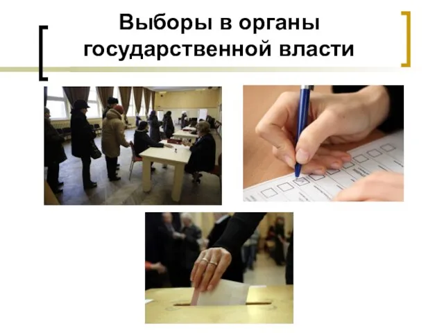 Выборы в органы государственной власти