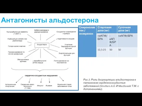 Антагонисты альдостерона Рис 2. Роль дисрегуляции альдостерона в патогенезе сердечнососудистых заболеваний