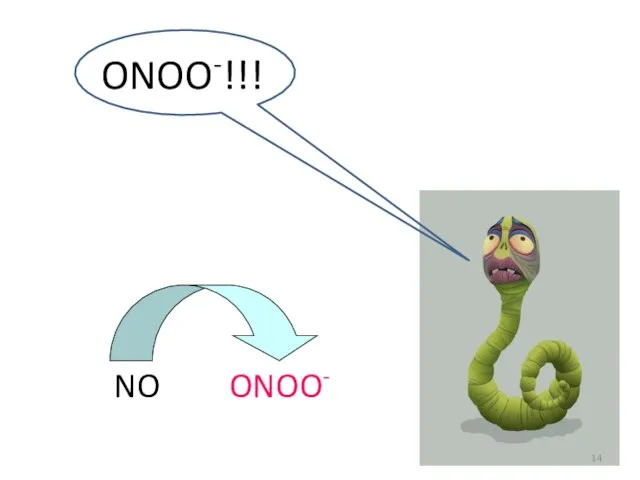 ONOO-!!! NO ONOO-