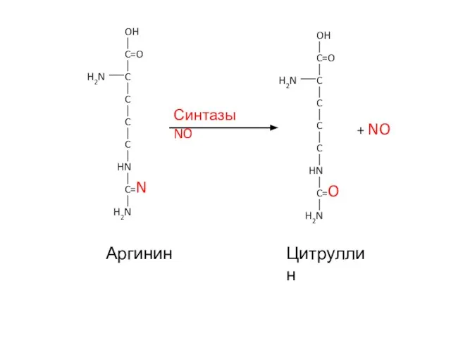 C=O OH C H2N C C C HN C=N H2N Аргинин