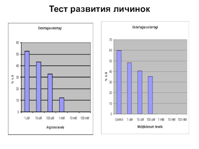 Тест развития личинок