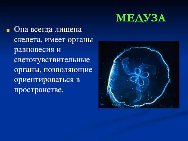 Она всегда лишена скелета, имеет органы равновесия и светочувствительные органы, позволяющие ориентироваться в пространстве. МЕДУЗА