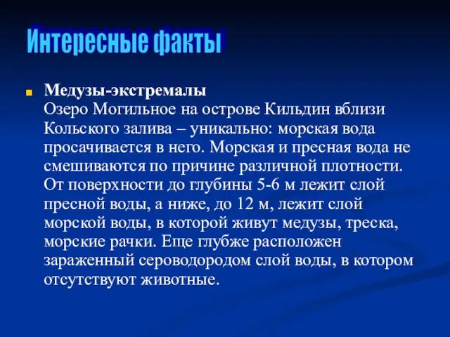 Медузы-экстремалы Озеро Могильное на острове Кильдин вблизи Кольского залива – уникально: