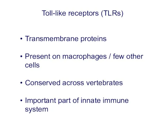 Toll-like receptors (TLRs) Transmembrane proteins Present on macrophages / few other