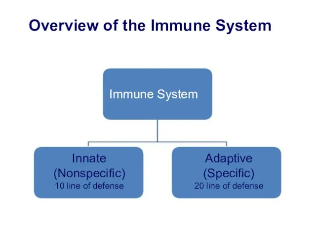 Overview of the Immune System Immune System Innate (Nonspecific) 10 line
