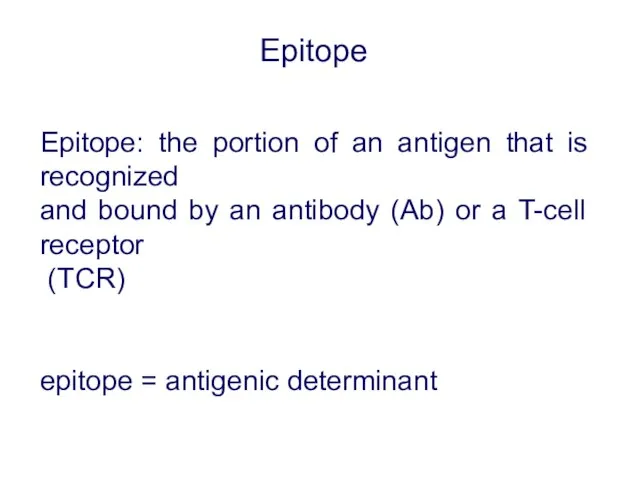 Epitope Epitope: the portion of an antigen that is recognized and