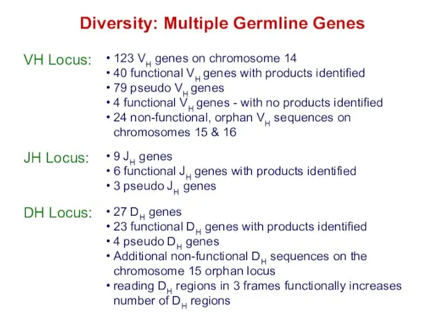 Diversity: Multiple Germline Genes