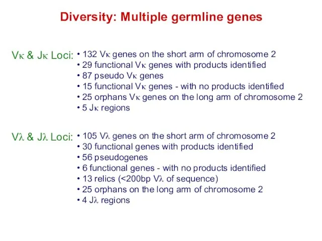 Diversity: Multiple germline genes
