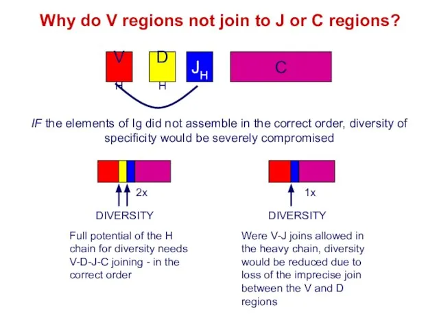 Why do V regions not join to J or C regions?
