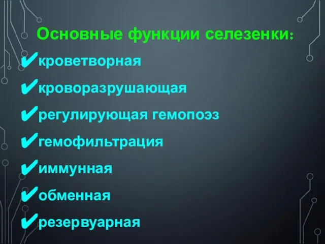 Основные функции селезенки: кроветворная кроворазрушающая регулирующая гемопоэз гемофильтрация иммунная обменная резервуарная