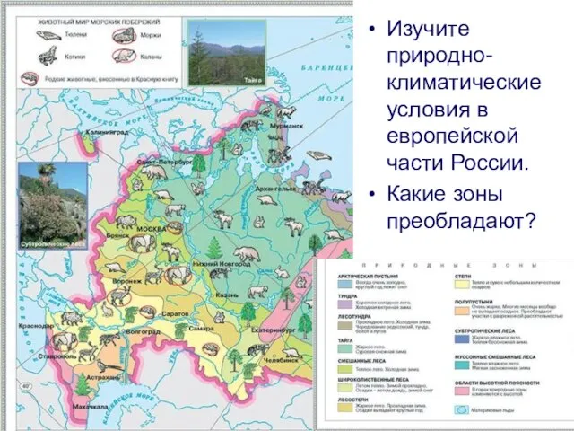 Изучите природно-климатические условия в европейской части России. Какие зоны преобладают?