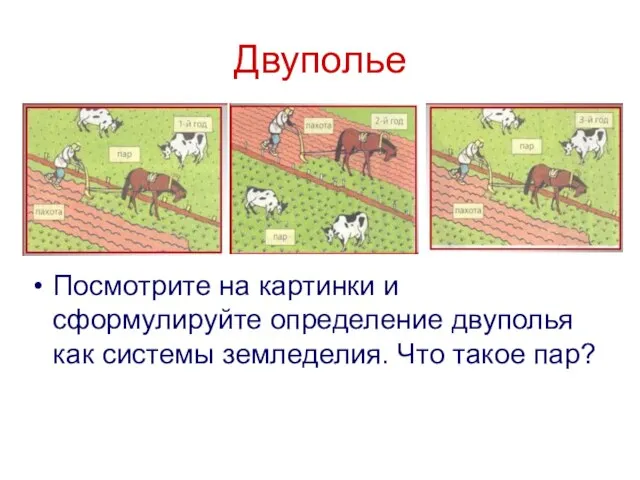 Двуполье Посмотрите на картинки и сформулируйте определение двуполья как системы земледелия. Что такое пар?