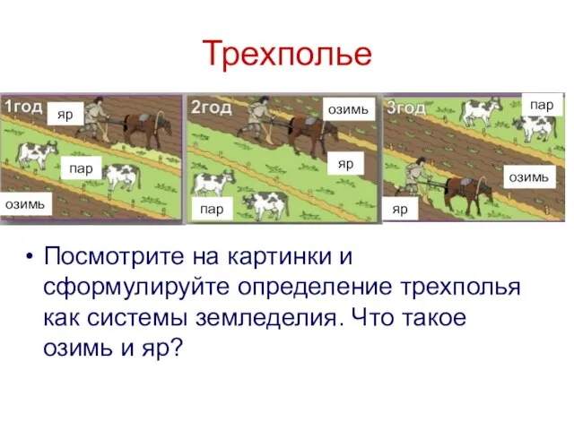 Трехполье Посмотрите на картинки и сформулируйте определение трехполья как системы земледелия.