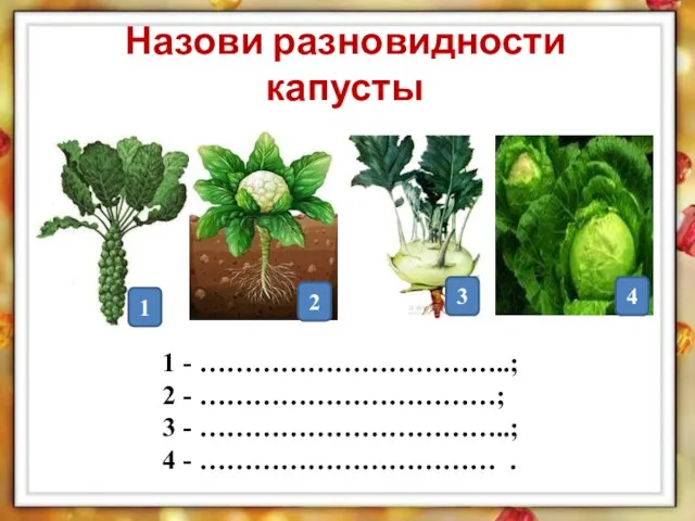 Назови разновидности капусты 1 2 3 4 1 - ……………………………..; 2