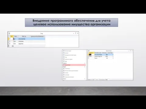 Внедрение программного обеспечения для учета целевое использование имущества организации