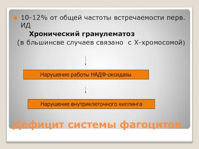 Дефицит системы фагоцитов 10-12% от общей частоты встречаемости перв.ИД Хронический гранулематоз