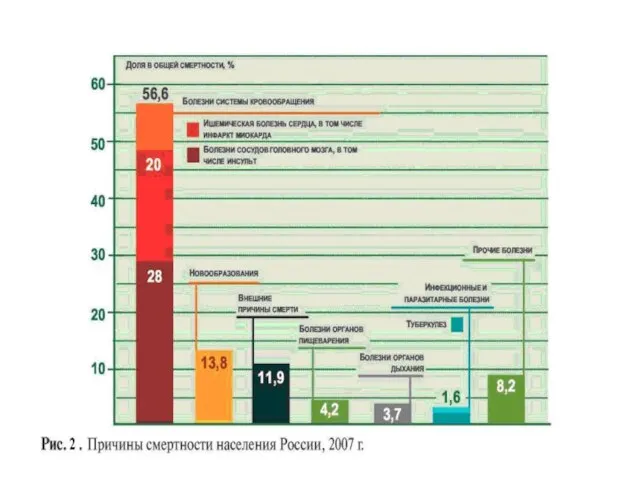 * СГМУ, кафедра Поликлиническая терапия