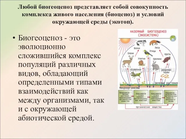 Любой биогеоценоз представляет собой совокупность комплекса живого населения (биоценоз) и условий