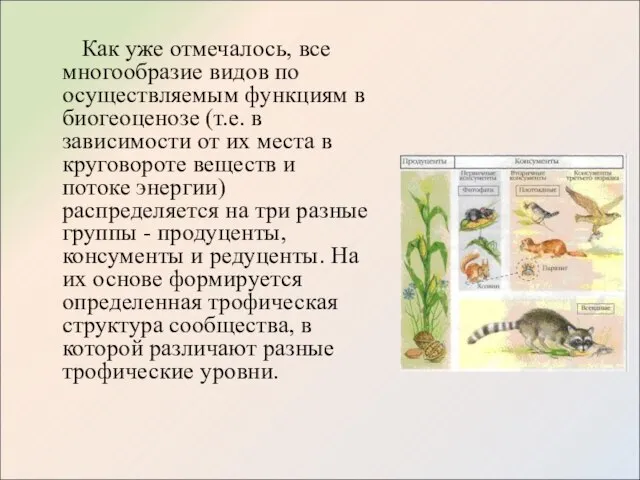 Как уже отмечалось, все многообразие видов по осуществляемым функциям в биогеоценозе