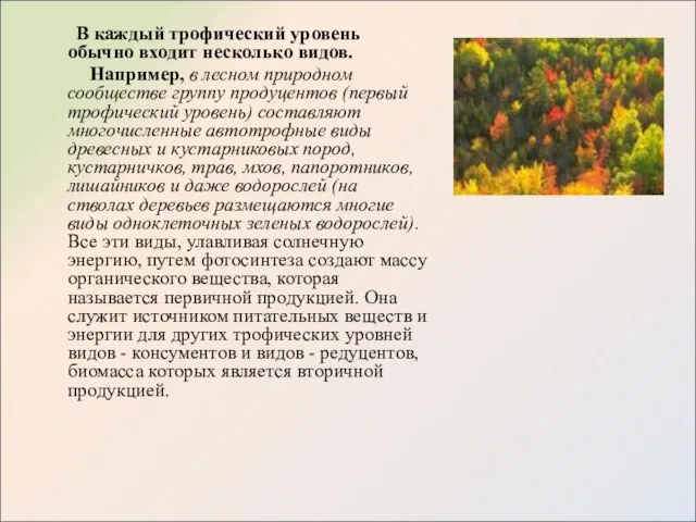 В каждый трофический уровень обычно входит несколько видов. Например, в лесном