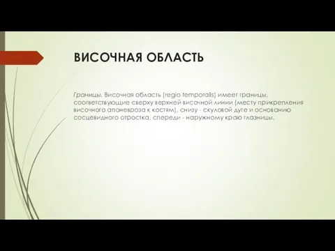 ВИСОЧНАЯ ОБЛАСТЬ Границы. Височная область (regio temporalis) имеет границы, соответствующие сверху