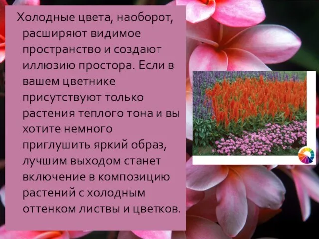 Холодные цвета, наоборот, расширяют видимое пространство и создают иллюзию простора. Если