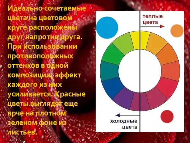 Идеально сочетаемые цвета на цветовом круге расположены друг напротив друга. При