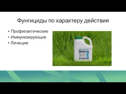 Фунгициды по характеру действия Профилактические Иммунизирующие Лечащие