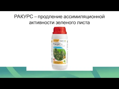 РАКУРС – продление ассимиляционной активности зеленого листа