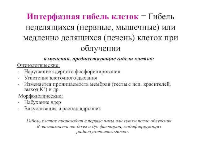 Интерфазная гибель клеток = Гибель неделящихся (нервные, мышечные) или медленно делящихся