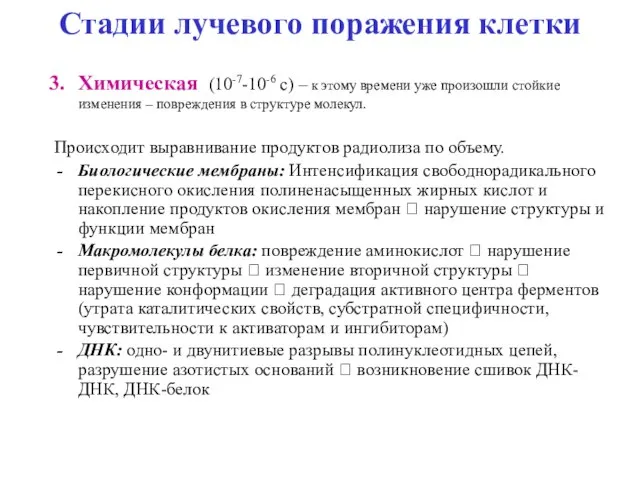 Стадии лучевого поражения клетки Химическая (10-7-10-6 с) – к этому времени