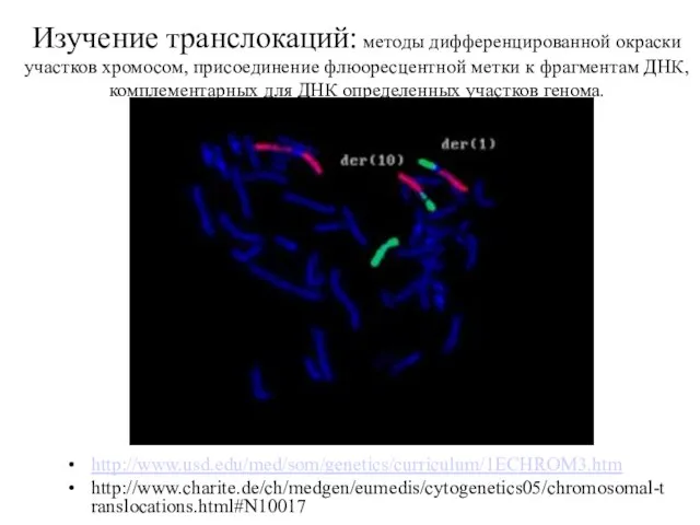 Изучение транслокаций: методы дифференцированной окраски участков хромосом, присоединение флюоресцентной метки к