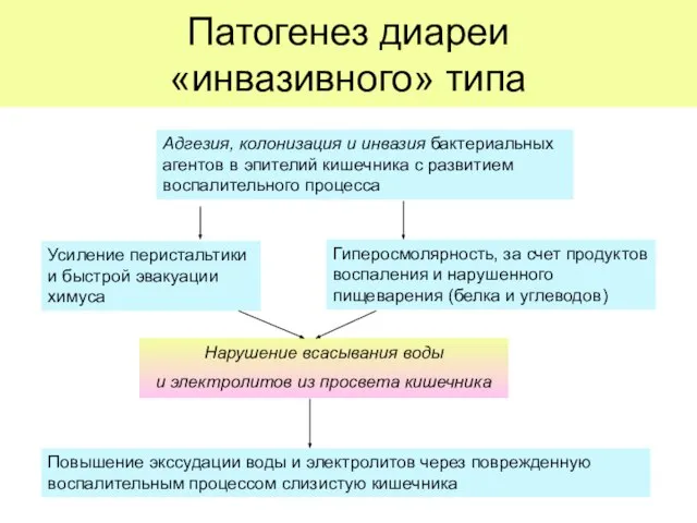 Патогенез диареи «инвазивного» типа Нарушение всасывания воды и электролитов из просвета