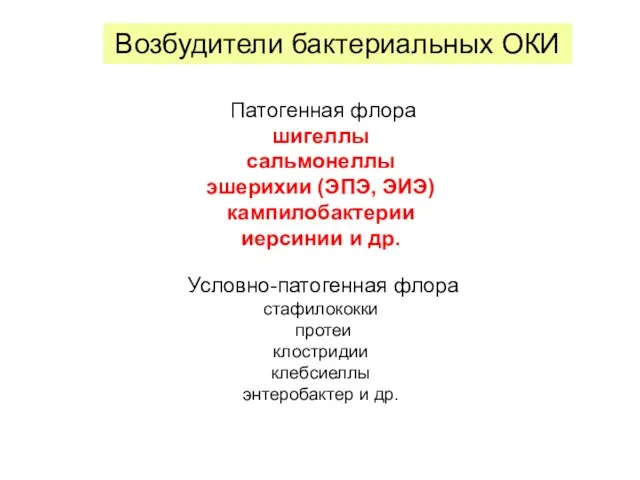 Патогенная флора шигеллы сальмонеллы эшерихии (ЭПЭ, ЭИЭ) кампилобактерии иерсинии и др.