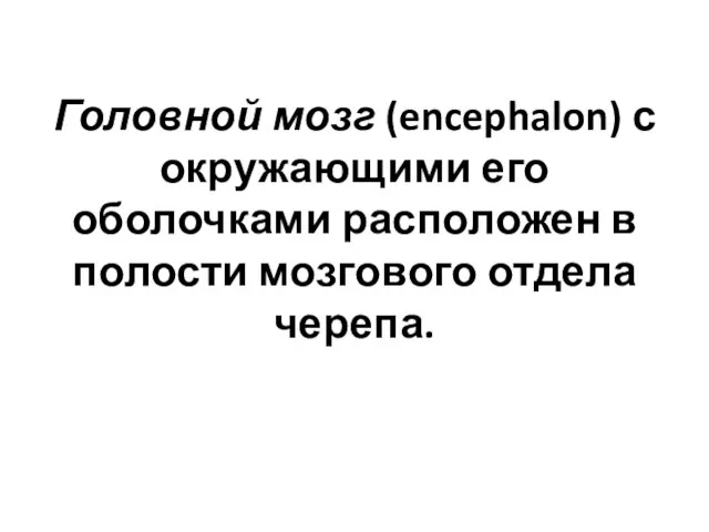 Головной мозг (encephalon) с окружающими его оболочками расположен в полости мозгового отдела черепа.