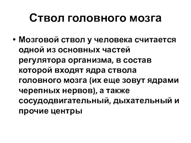 Ствол головного мозга Мозговой ствол у человека считается одной из основных