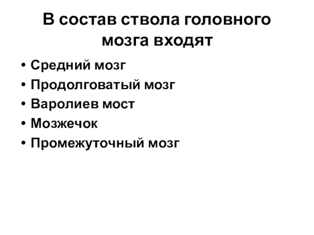 В состав ствола головного мозга входят Средний мозг Продолговатый мозг Варолиев мост Мозжечок Промежуточный мозг