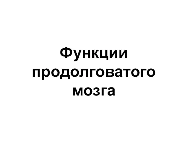 Функции продолговатого мозга