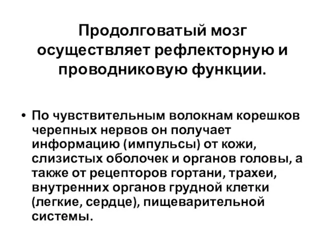 Продолговатый мозг осуществляет рефлекторную и проводниковую функции. По чувствительным волокнам корешков