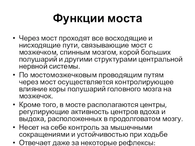 Функции моста Через мост проходят все восходящие и нисходящие пути, связывающие