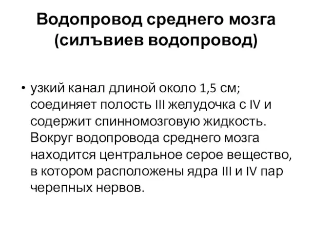 Водопровод среднего мозга (силъвиев водопровод) узкий канал длиной около 1,5 см;