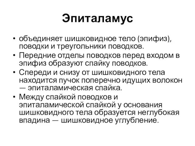 Эпиталамус объединяет шишковидное тело (эпифиз), поводки и треугольники поводков. Передние отделы