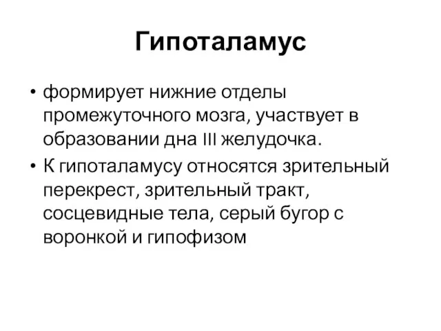 Гипоталамус формирует нижние отделы промежуточного мозга, участвует в образовании дна III