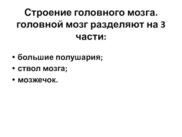 Строение головного мозга. головной мозг разделяют на 3 части: большие полушария; ствол мозга; мозжечок.