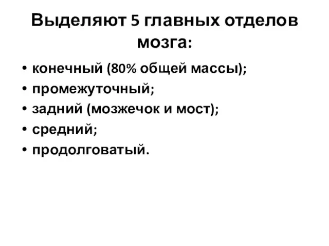 Выделяют 5 главных отделов мозга: конечный (80% общей массы); промежуточный; задний (мозжечок и мост); средний; продолговатый.