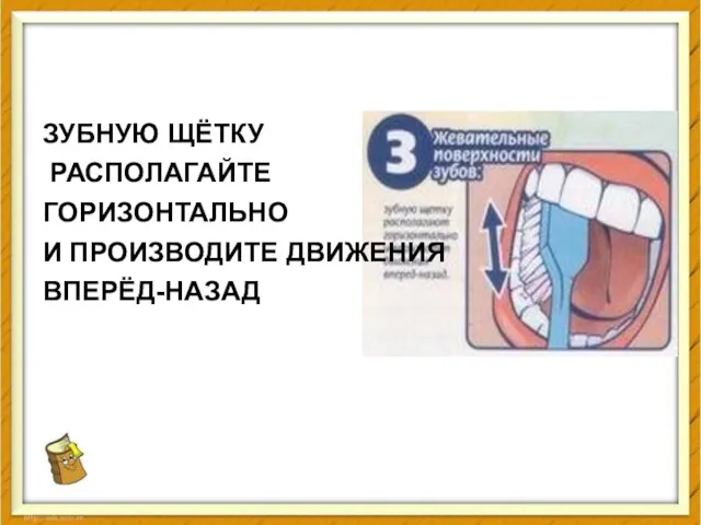 ЗУБНУЮ ЩЁТКУ РАСПОЛАГАЙТЕ ГОРИЗОНТАЛЬНО И ПРОИЗВОДИТЕ ДВИЖЕНИЯ ВПЕРЁД-НАЗАД