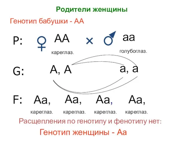 Р: АА аа кареглаз. голубоглаз. G: А, А а, а F: